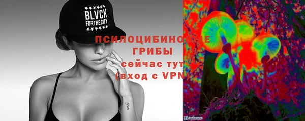 молекула духа Балахна