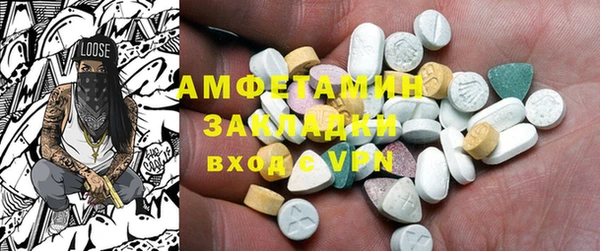 индика Гусев